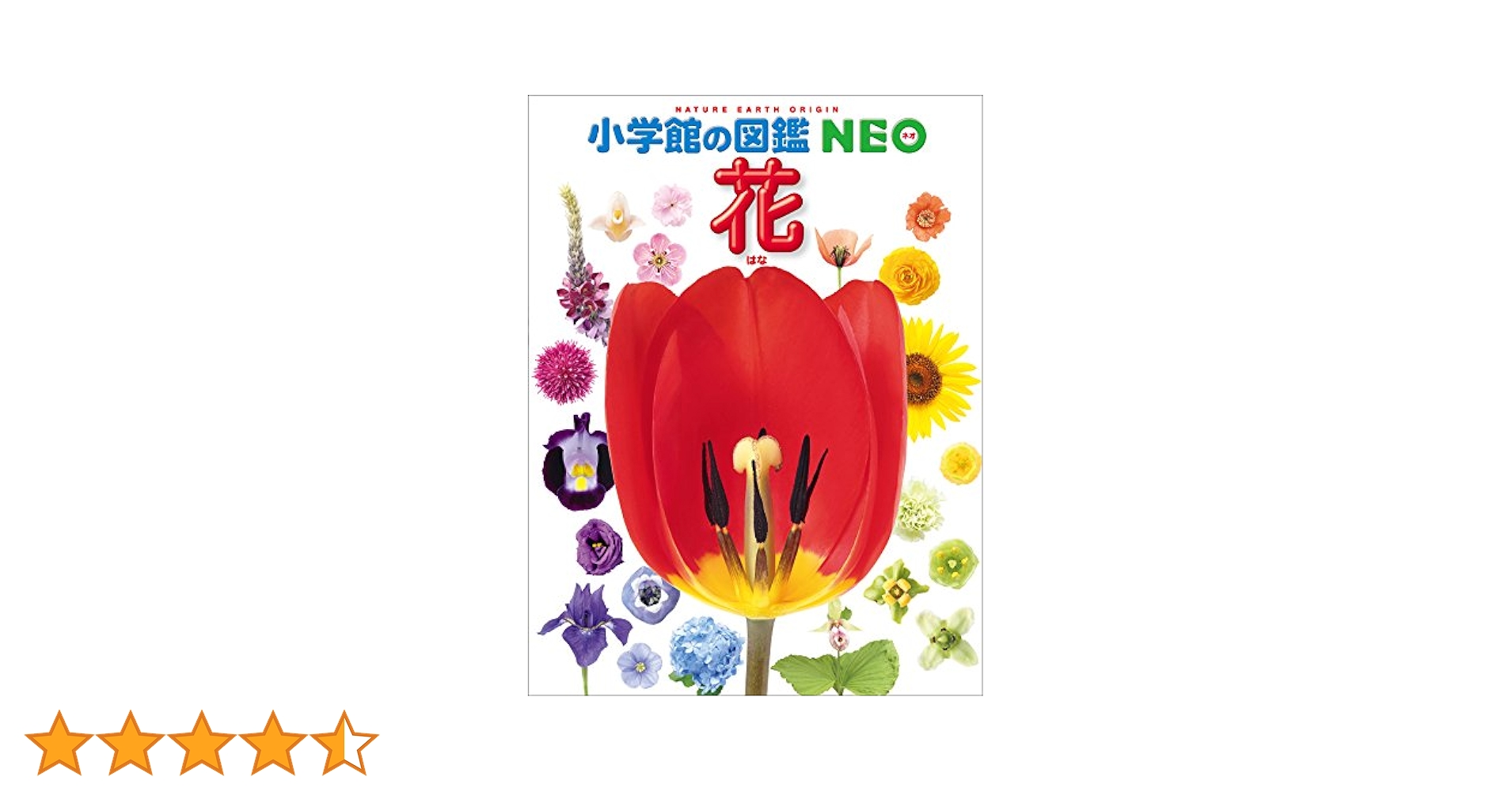 小学館の図鑑NEO 花 | 多田多恵子, 大作晃一, 亀田龍吉 | ノン
